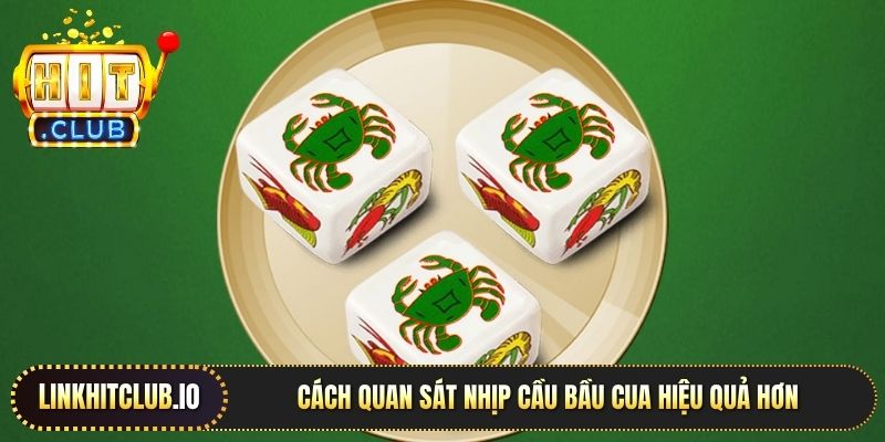 Cách quan sát nhịp cầu bầu cua hiệu quả hơn